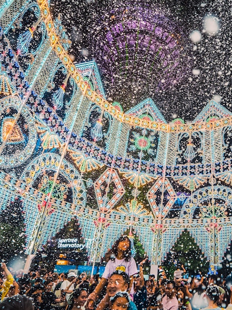 Crowd enjoying Garden Rhapsody & Blizzard Time at Gardens by the Bay, Christmas lights display.