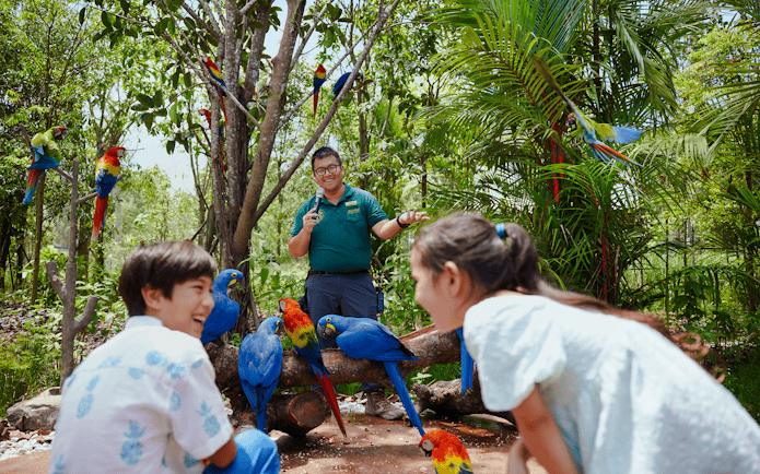 Keeper giving a talk at Hong Leong Foundation Crimson Wetlands with colorful parrots and children watching.