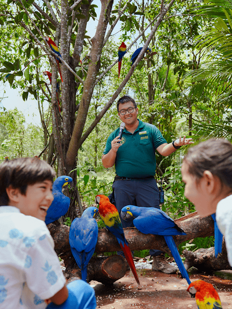 Keeper giving a talk at Hong Leong Foundation Crimson Wetlands with colorful parrots and children watching.