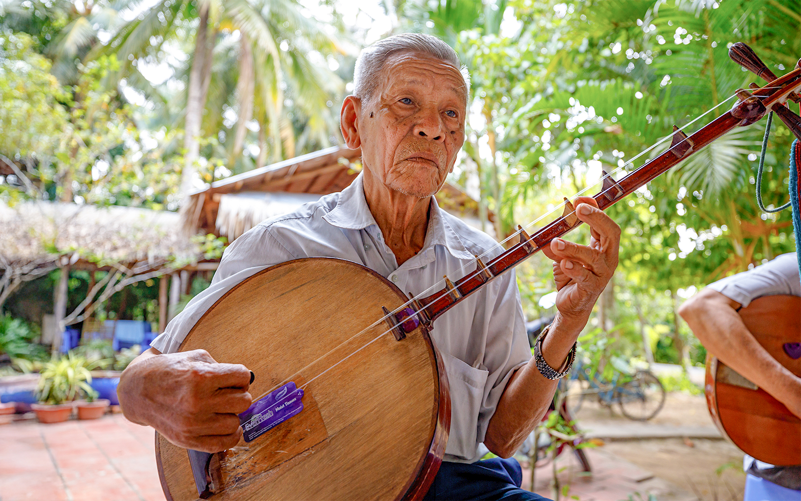 Live folk music with fruit tasting and honey tea