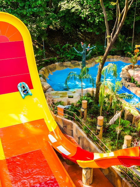 Water slide at Sunway Lagoon amusement park surrounded by tropical greenery.