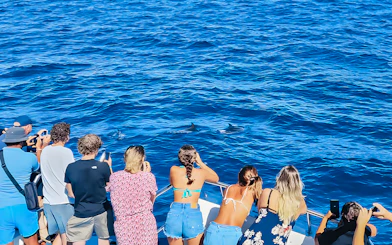 Tourists on a Gran Canaria cruise boat watching dolphins in the ocean.