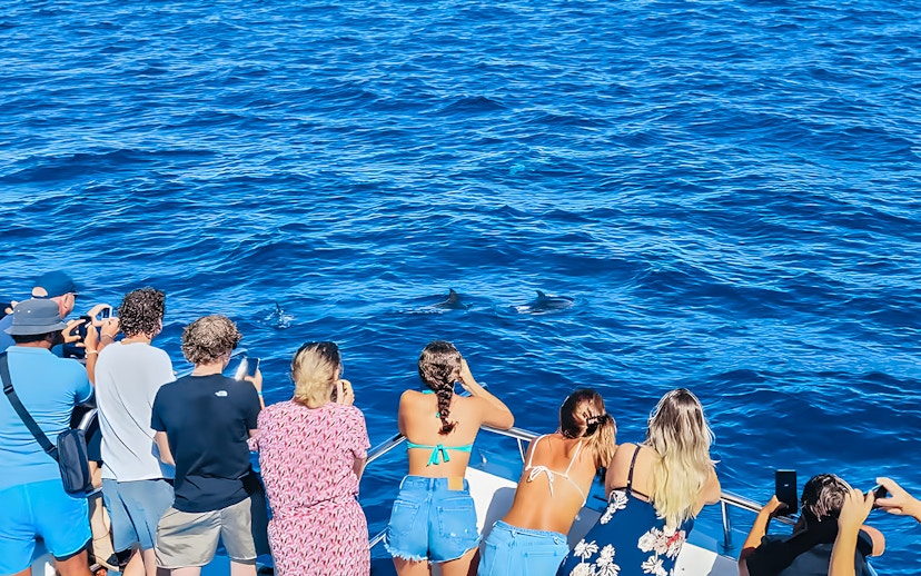 Tourists on a Gran Canaria cruise boat watching dolphins in the ocean.