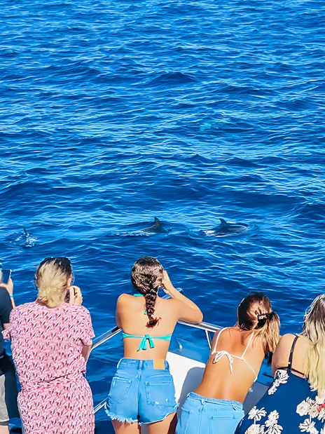 Tourists on a Gran Canaria cruise boat watching dolphins in the ocean.