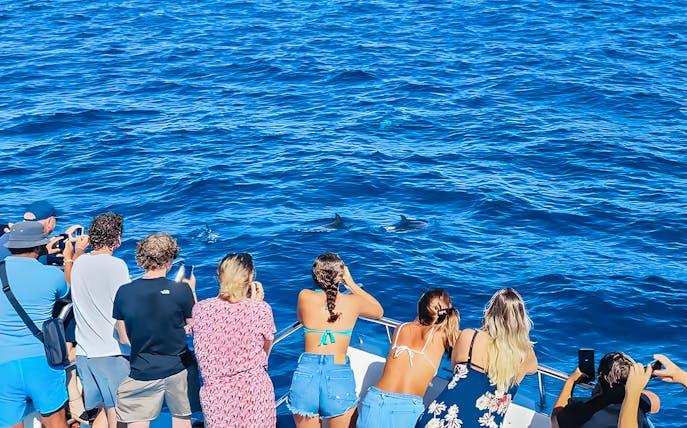 Tourists on a Gran Canaria cruise boat watching dolphins in the ocean.