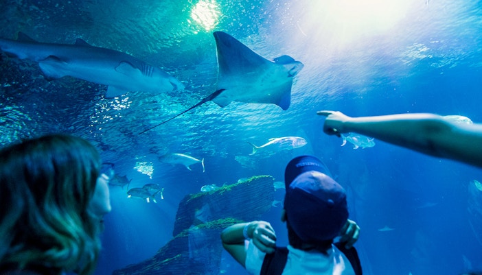 Oceanogràfic Tickets