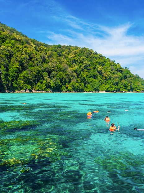 Snorkelers exploring clear waters near lush green hills of Surin Island, Thailand.