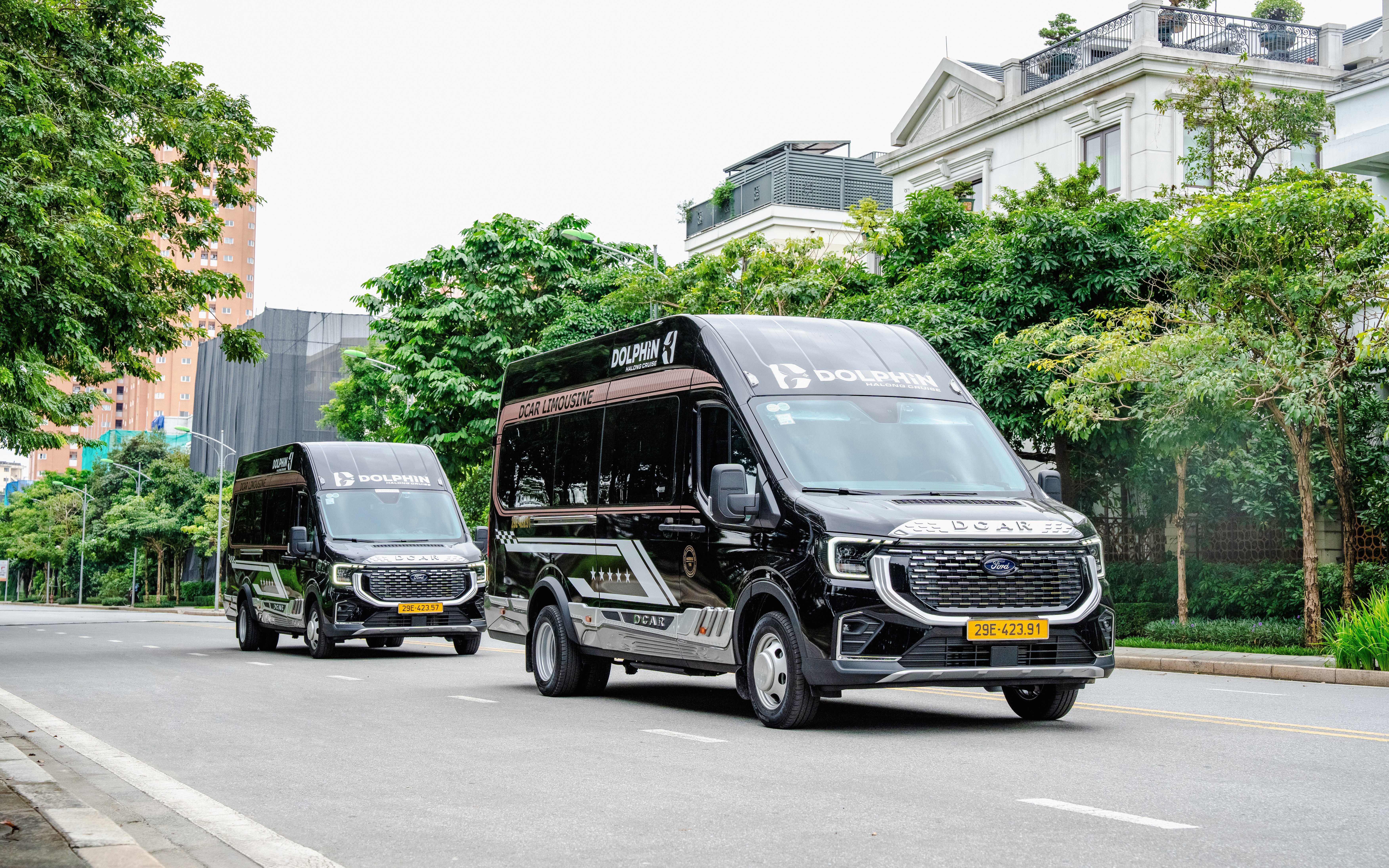Dolphin Transfer vans driving on a tree-lined street.