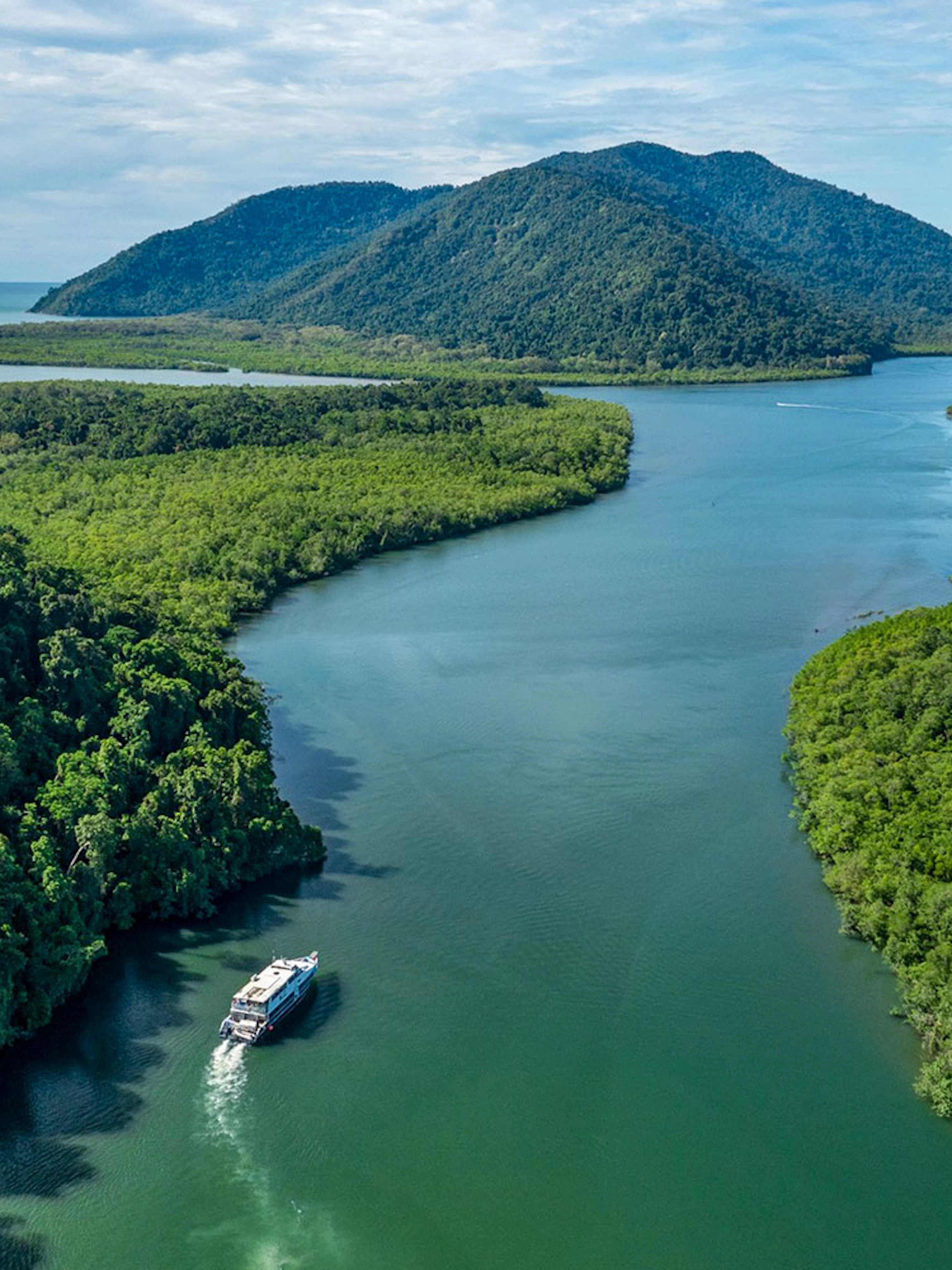 Boat cruising through rainforest river near Frankland Islands, Australia.