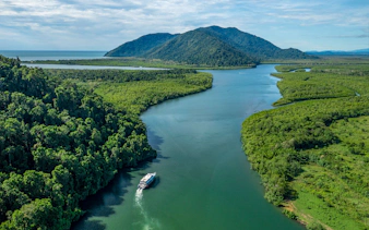Boat cruising through rainforest river near Frankland Islands, Australia.