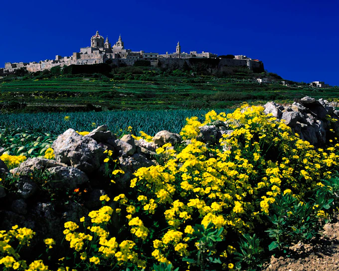 Malta Half-Day Private Guided Tour with Transport