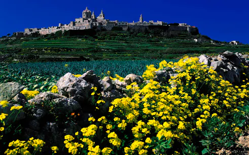 malta half-day private guided tour with transport-1