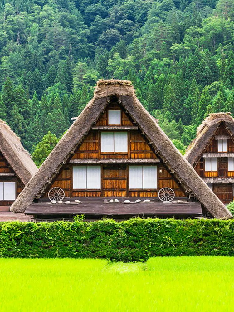 Shirakawago Günübirlik Gezileri