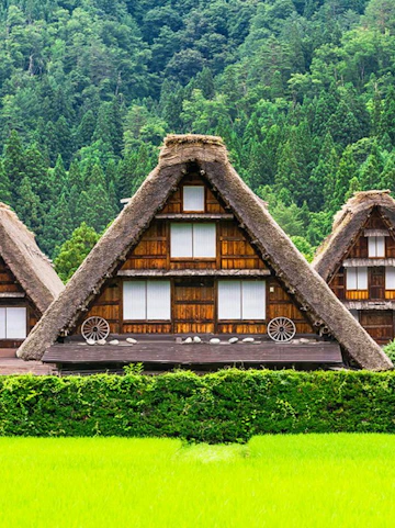 Traditional gassho-zukuri farmhouse in Shirakawa-go, surrounded by lush greenery.