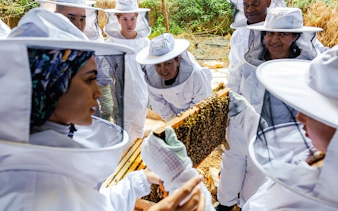 Beekeepers examining a hive during the Beekeeping Experience at Terra, Expo City Dubai.