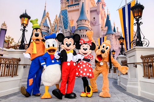 Magic Kingdom 1-Day Ticket