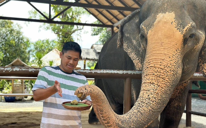 Feeding an elephant at Samui Elephant Home Nursery.