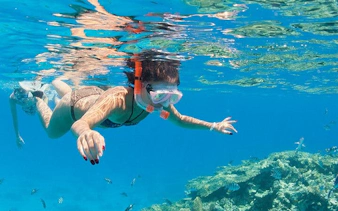 Snorkeler exploring coral reef during speedboat tour in Sharm El Sheikh.