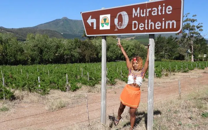 Cape Winelands Wine Tour with Tastings, Cheese Pairing, Lunch, and Hotel Pickup