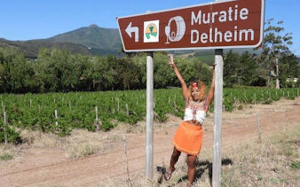 cape winelands wine tour with tastings, cheese pairing, lunch, and hotel pickup-1