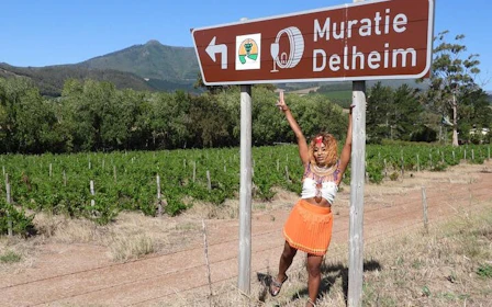 Cape Winelands Wine Tour with Tastings, Cheese Pairing, Lunch, and Hotel Pickup