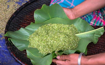 Green rice on banana leaves during Mu Cang Chai tour with Hmong guide.