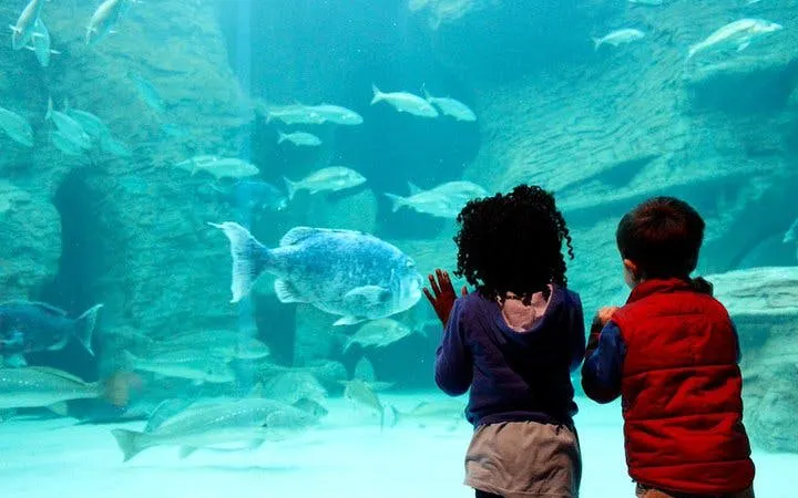 Cape Town Private Family Tour with Wine Tasting and Animal Encounters
