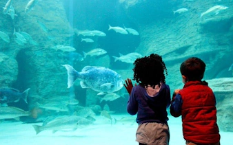 cape town private family tour with wine tasting and animal encounters-1