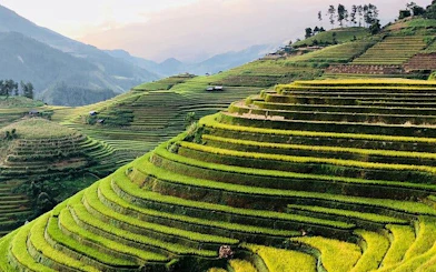 Sapa rice terraces with lush green fields and distant mountains, Vietnam trekking tour.