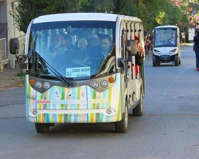 From Istanbul: Princes' Islands Sightseeing Cruise with Lunch (Product 52539)