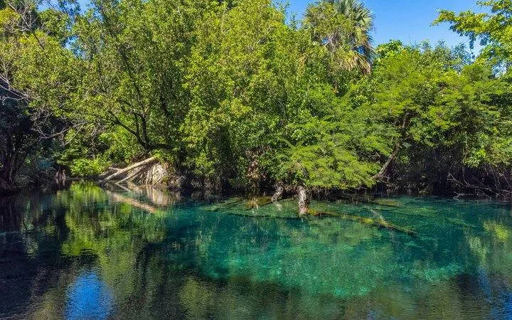 Cenote surrounded by lush greenery in Punta Cana, part of a snorkeling and catamaran tour.
