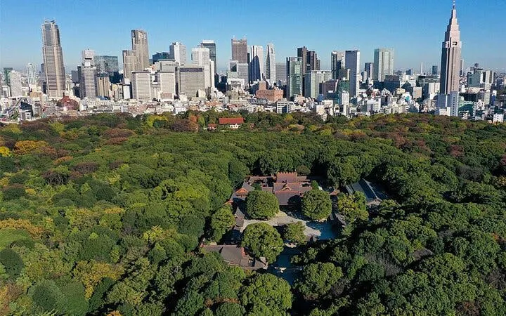Tokyo: Meiji Shrine Walking Tour — Shinto & Imperial System Image 2