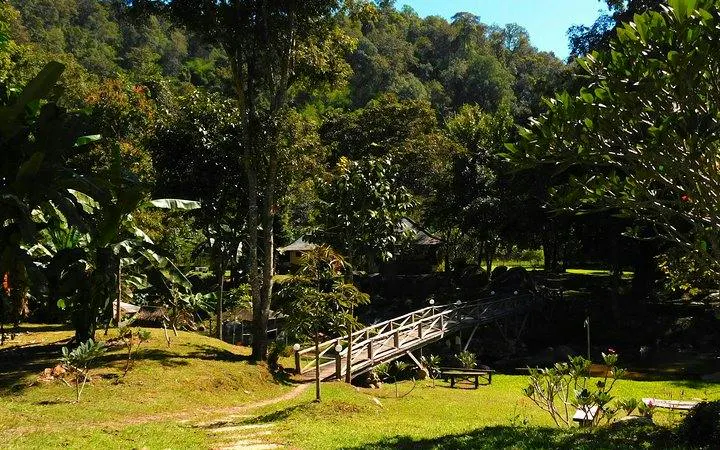 Mae Kham Pong Village lush greenery with wooden bridge, Chiang Mai.