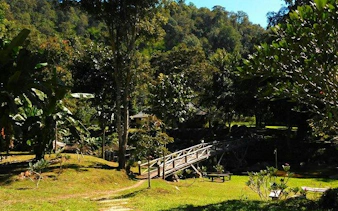 Mae Kham Pong Village lush greenery with wooden bridge, Chiang Mai.