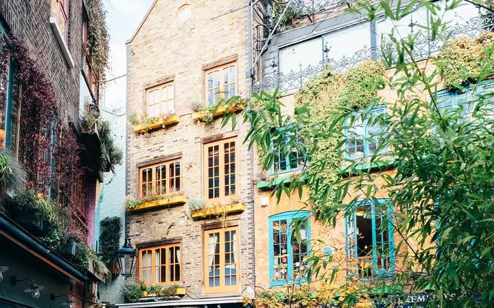 Colorful buildings with greenery in London's Neal's Yard.