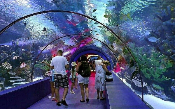 Alanya Aquarium and Fun Park Tour All Inclusive with Hotel Pickup