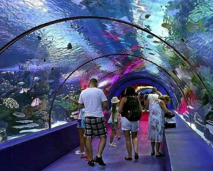 Alanya Aquarium and Fun Park Tour All Inclusive with Hotel Pickup