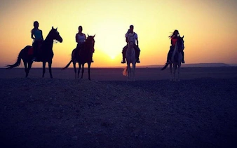 Horseback riders at sunset on a desert trail near the Red Sea, Hurghada.