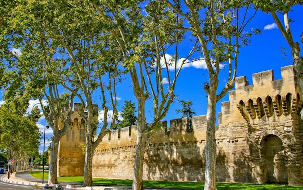avignon self-guided walking tour with audio guide app and offline map-4