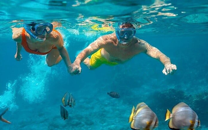 Snorkelers exploring coral reef with fish in Hurghada on a private speed boat trip.