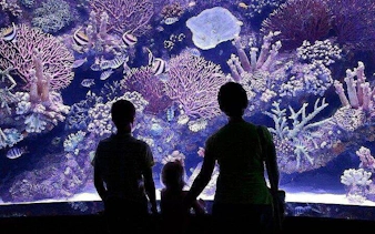 all-inclusive-tour zum alanya aquarium und fun park mit abholung vom hotel-7