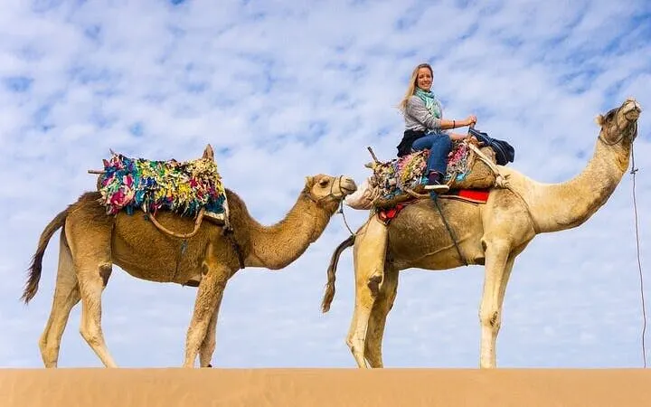 Camel ride in Sharm El Sheikh desert with colorful saddles under a blue sky.