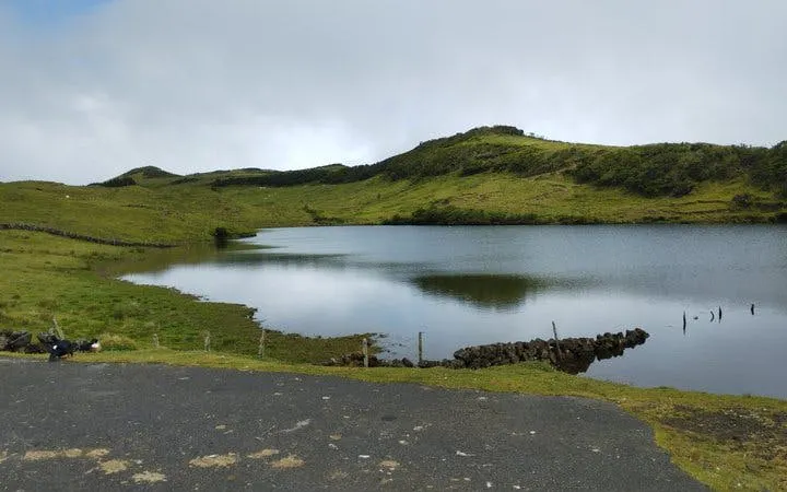 Pico Island Volcanic Lakes and Highlands Small-Group Guided Tour Image 10