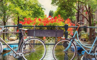 Bicycles on a bridge over a canal in Amsterdam with flowers and historic buildings in the background.