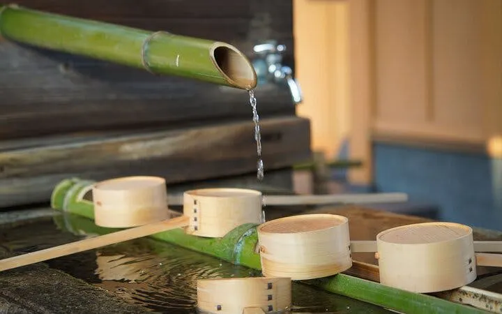zen-meditasjon og tur i kyoto med shojin-lunsj ved et historisk tempel-16