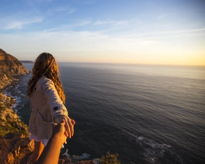 Cape Peninsula Private Tour with Guided Seal Snorkeling at Duiker Island