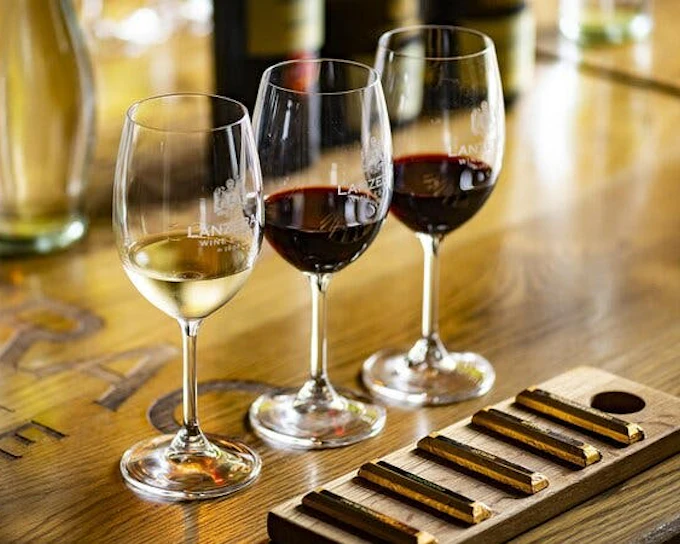 Cape Peninsula Private Helicopter Tour with Stellenbosch Wine Tastings and 4-Course Lunch
