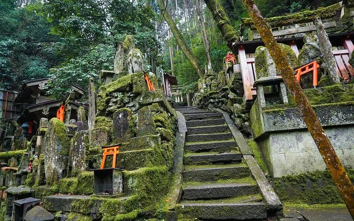 fushimi inari – tur til skjulte stier (mulighet for privat tur)-6