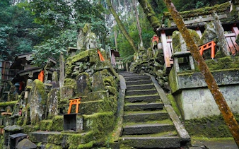 fushimi inari gizli yürüyüş turu (özel tur seçeneği mevcuttur)-6
