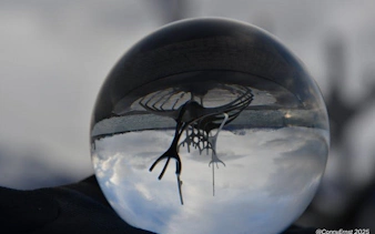 Reykjavik Sun Voyager sculpture viewed through a glass sphere on a guided walking tour.